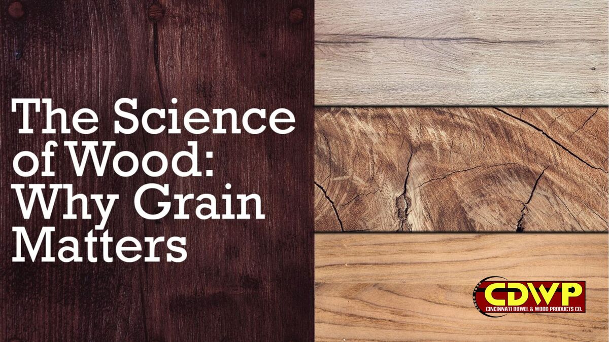 The Science of Wood: Why Grain Matters